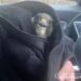 Хвилинка добра: у Кривому Розі поліцейські врятували птаха зі зламаним крилом