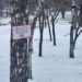 Небезпечно для життя: у Дніпрі заборонили кататися зі схилів у міських парках
