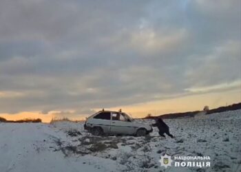 Хвилинка добра: поліцейський витяг автівку зі снігової пастки на трасі області