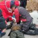 Трагедія на водоймі: у Дніпрі загинув рибалка, який провалився під кригу