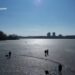 Рятувальники області оприлюднили статистику нещасних випадків на водоймах