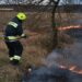 На Дніпропетровщині за добу вогонь знищив понад 76 гектарів екосистем