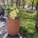 Святкові заходи до Великодня відбудуться на вихідних у парках Дніпра