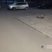 У Кам’янському посеред вулиці чоловік стріляв з автомата Калашникова