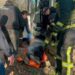 Ворог вдарив дроном-камікадзе по автобусу з працівниками підприємства у Марганці: є загиблі та поранені