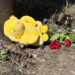 У Павлограді попрощалися з татом і донькою, яких вбив ворожий дрон