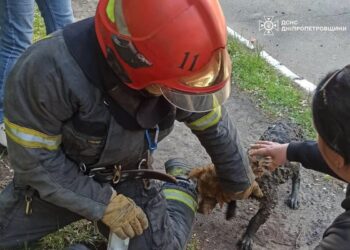 У Кривому Розі врятували песика з глибокого колодязя