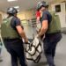 Загиблий та поранений у Нікополі: підсумки важкого дня