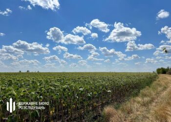 Фермери незаконно засіювали  танковий полігон на Дніпропетровщині