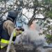 Обстріли Нікопольщини: пожежі та руйнування