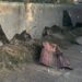 Окупанти обстріляли Нікопольщину безпілотниками та з артилерії: наслідки