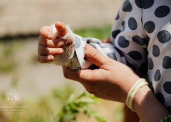 Стало відомо щодо стану поранених у Дніпрі на сьогодні