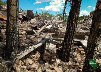 Окупанти вдарили БпЛА по лісництву на Дніпропетровщині