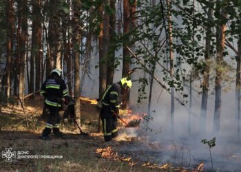 Масштабна лісова пожежа в області: вогонь приборкували цілу добу