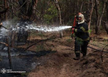 У Дніпрі рятувальники майже добу боролися із лісовою пожежею