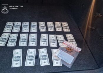 У Кривому Розі затримали 23-річну дівчину, яка продавала водійські посвідчення