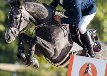 Дніпрянин Євген Індюшкін взяв “золото” на чемпіонаті світу з кінного спорту в Іспанії