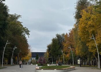 У яких парках Дніпра є безкоштовний wi-fi: локації