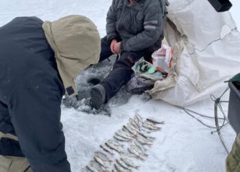 Двоє браконьєрів нарибалили на понад 100 тисяч гривень на Кам’янському водосховищі