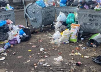 Знову проблема зі сміттям у Підгородненській громаді