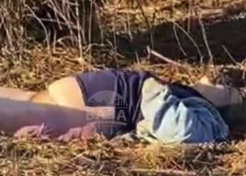 Мертва жінка в Сурсько-Литовському: версії щодо причини смерті різняться