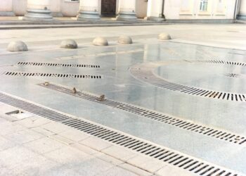 Незвична поведінка горобців у Кривому Розі
