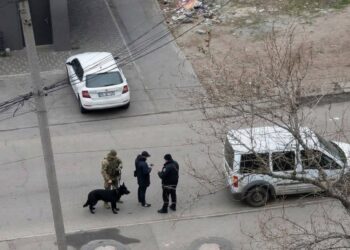 У Дніпрі працівники ТЦК патрулюють вулиці з собаками