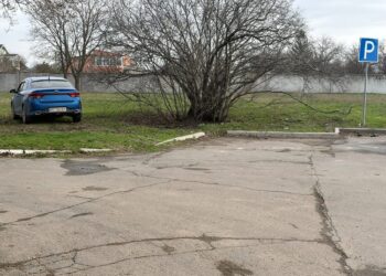 У Підгородному помітили «майстрів паркування» на газонах