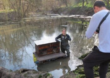 У Дніпрі встановили будиночок для качок посеред ставка в Шляхівці