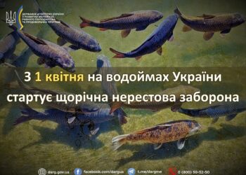 Нерестова заборона розпочинається у Дніпропетровській області з 1 квітня
