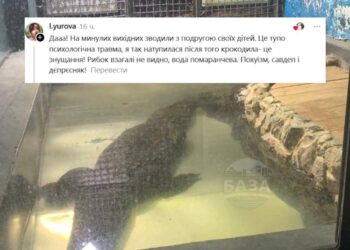 «Кімната жахів»: відвідувачі скаржаться на стан акваріуму в ДНУ