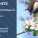 Прогноз погоди у Дніпрі та області на 12 травня