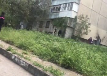 У Нікополі чоловік підірвався на міні під час косіння трави