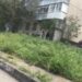 У Нікополі чоловік підірвався на міні під час косіння трави