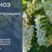 У Дніпрі та області 22 травня очікуються грози та спека