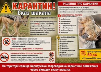 У Кам’янському районі двоє людей постраждали через контакт зі скаженим шакалом