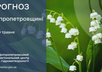 У Дніпрі та області 29 травня прогнозують дощі, грози та сильний вітер