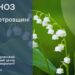 У Дніпрі та області 29 травня прогнозують дощі, грози та сильний вітер