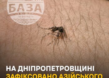 У Дніпропетровській області зафіксували азійського тигрового комара — одного з найнебезпечніших інвазивних видів у світі