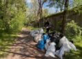 У Дніпрі проведуть толоку в Діївських плавнях: запрошують усіх охочих