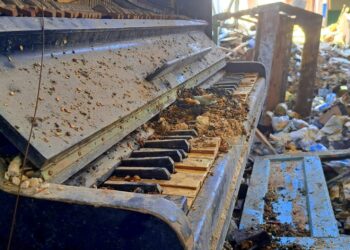 Фото дніпровської журналістки посіло призове місце на міжнародному конкурсі EVZ