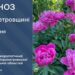 Прогноз погоди у Дніпрі та області на 19 червня