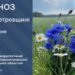 Прогноз погоди по Дніпропетровській області на 24 червня