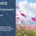 Прогноз погоди у Дніпрі та області
