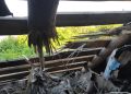 На Дніпропетровщині під обстрілами: є руйнування та пожежі