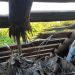 На Дніпропетровщині під обстрілами: є руйнування та пожежі