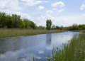 Епідемічна ситуація на Дніпропетровщині: у водоймах виявили холерний вібріон