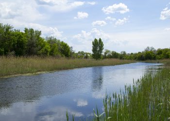 Епідемічна ситуація на Дніпропетровщині: у водоймах виявили холерний вібріон