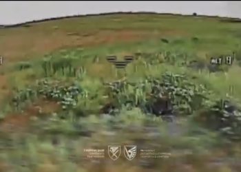 ЗСУ знищили батальйон російських військ на стику Дніпропетровської та Донецької областей — ДШВ