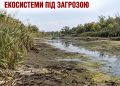 Річки Дніпропетровщини міліють до критичних значень: під загрозою вже екосистеми